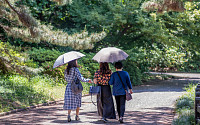 폭염 해결책 양산, 자외선 차단 3배 땀 17% 줄인다