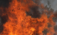 터키서 닷새째 대형 산불…최소 8명 사망