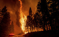 캘리포니아 산불, 사상 2번째 규모로 확대…&quot;소실 면적 서울 3배&quot;