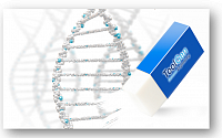 [BioS]툴젠, '유전자가위 선별 기술' 日 특허등록