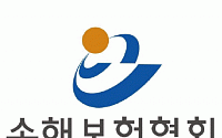 손보협회, 창립 60주년 맞아 신규 CI발표