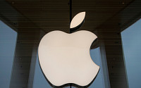 애플, 인앱 결제 의무화 포기…외부 결제 홍보 허용