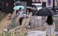 [내일 날씨] 전국에 강한 비…낮부터 그치기 시작