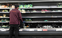 영국, 브렉시트 후폭풍…일손 부족에 식품 공급망 위기