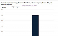 8월 미국 소비자물가 전월 대비 0.3%↑...시장 기대치 밑돌아