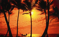 [여행&amp;레저]로맨틱한 해변·따사로운 햇살 '하와이'