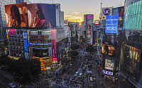 일본 도쿄도, 하루 확진 49명…1년 4개월 만에 50명 밑으로
