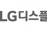 LG디스플레이, 사업 포트폴리오 안정적 다변화 기대 - SK증권