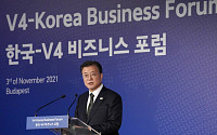 문재인 대통령 &quot;V4, EU내 한국 최대투자처…배터리·신산업 협력&quot;