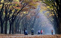 [포토] '인천대공원, 깊어가는 가을'