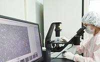 차바이오텍 “세계 최초 유전적 안정성ㆍ제조효율 높인 배아줄기세포 제조방법” 특허 획득
