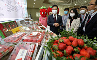 싱가포르·홍콩으로 '딸기 전용 수출 항공기' 운영