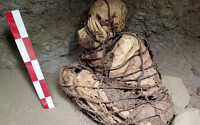 페루서 발견된 1200년 전 미라…밧줄에 꽁꽁 묶인 채 묻혀 &quot;권위 있는 인물일 것&quot;