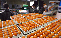 달걀값 투명해질까…'농가-공판장-유통업체' 구조 도입