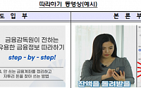 금감원, 유용한 금융정보 따라하기 'Step by Step!' 교육영상 제작