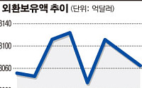 외화보유액 두달째 줄어…3000억달러 턱걸이