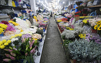 [포토] 한산한 꽃시장