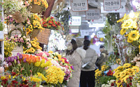 [포토] 찬바람 부는 꽃시장