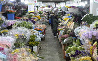 [포토] 대목에도 한산한 꽃시장