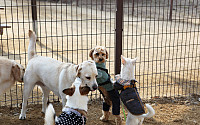 지자체, 반려동물과 유기동물 직접 돌본다