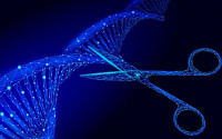 셀리버리, 유전체 및 유전자 편집ㆍ교정기술 미국 특허등록 성공