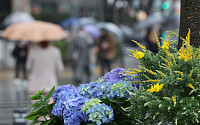[주말 날씨] 전국에 눈과 비, 다음주 초까지 '꽃샘추위'