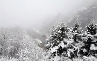 [내일 날씨] 전국에 눈·비…강원 산지에는 20㎝ 폭설