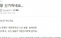 “‘청화대’라고 쓰는 사람들이“…용산 커뮤니티에 등장한 이들 누구길래