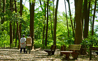 서울시, 치매 예방 위한 ‘기억 숲 산책’ 운영