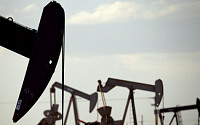OPEC+, 5월 일당 43만 배럴 증산 합의…기존 방침보다 8%↑