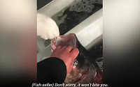 [랜선핫이슈] 중국, 생선 입 벌려 코로나19 검사·한국어로 “후쿠시마 오염수 안전” 유튜브 광고 外