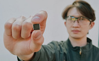 SK온, 전량 수입하던 배터리관리칩 개발 성공