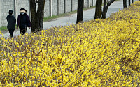[날씨] 평년 수준 봄 날씨...미세먼지는 수도권·충청에서 ‘나쁨’