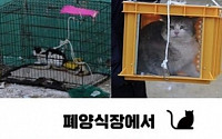 SNS 공개 전환 김건희, 환경·동물 문제에 꾸준히 ‘목소리’