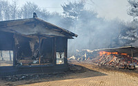 서산 산불 확산, 주민 60여 명 긴급대피…주택 4채·창고 등 불 타