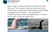 “네스호 괴물의 정체는 고래 성기”