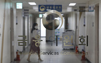 금융당국, '루나 사태' 긴급 동향 점검