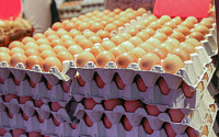 [이슈크래커] 계란 가격과 사료주 급등 관계는?