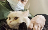우크라 전쟁으로 헤어진 고양이, 미국서 가족과 감동의 재회