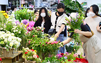 [포토] &quot;어떤 꽃이 좋을까?&quot; 양재 꽃시장 둘러보는 시민들