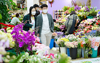 [포토] 어버이날, 활기 넘치는 꽃시장