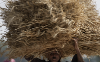 이상기후·전쟁 여파 글로벌 식량 대란…농산물 ETF·ETN 상품 ‘훈풍’