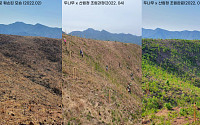 두나무, 산불 피해지역에 나무 1만 그루 식수