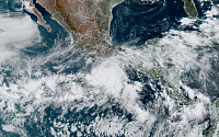 멕시코 남부서 올해 첫 허리케인 애거사 발생… 시속 120km