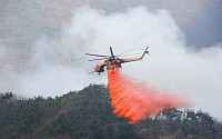 전국 산불 비상…메마른 날씨에 건조한 환경 탓