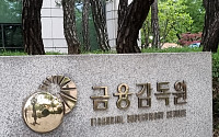 금감원, 아태 지역 5개국 금융감독당국 고위급 면담 개최