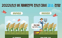 올해 쌀 재배면적 1만㏊ 이상 감소 전망…생산 과잉 우려 여전