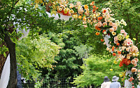 [포토] 서울대공원 웨딩가든에서 즐거운 시간
