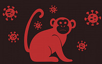 미 CDC &quot;원숭이두창 일부 성병과 비슷…다른 질병으로 착각할 수도&quot;