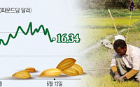 글로벌 식품가격 폭등세 다음 타자는 ‘쌀’?…가격, 5개월 연속 상승
